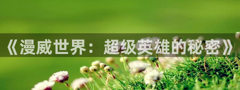 age动漫官网免费