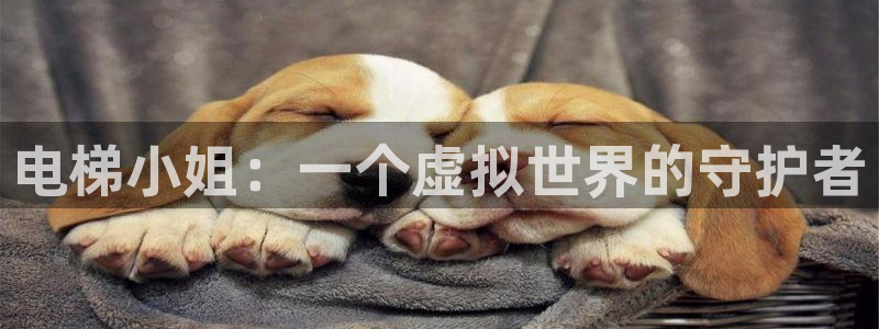 age动漫老版本