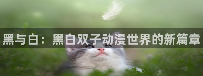 age动漫在线免费观看